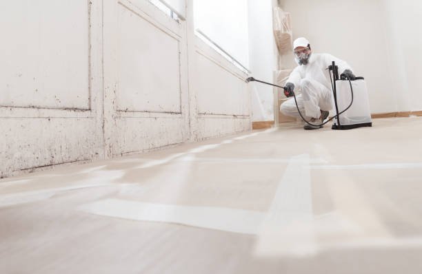 24/7 Emergency Bathroom Mold Removal experts in Orange Park, FL