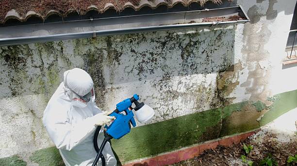 Top rated local Bathroom Mold Removal specialists in Orange Park, FL